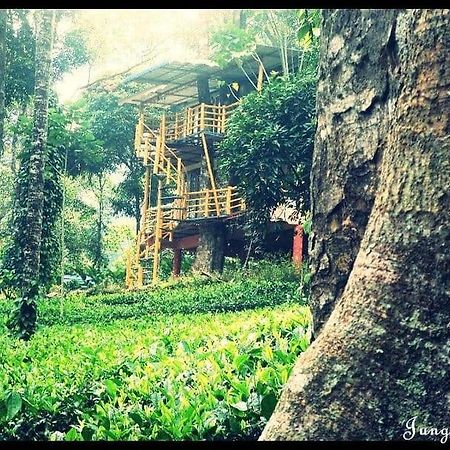 Jungle Jive Treehouse And Farm House มุนนาร์ ภายนอก รูปภาพ