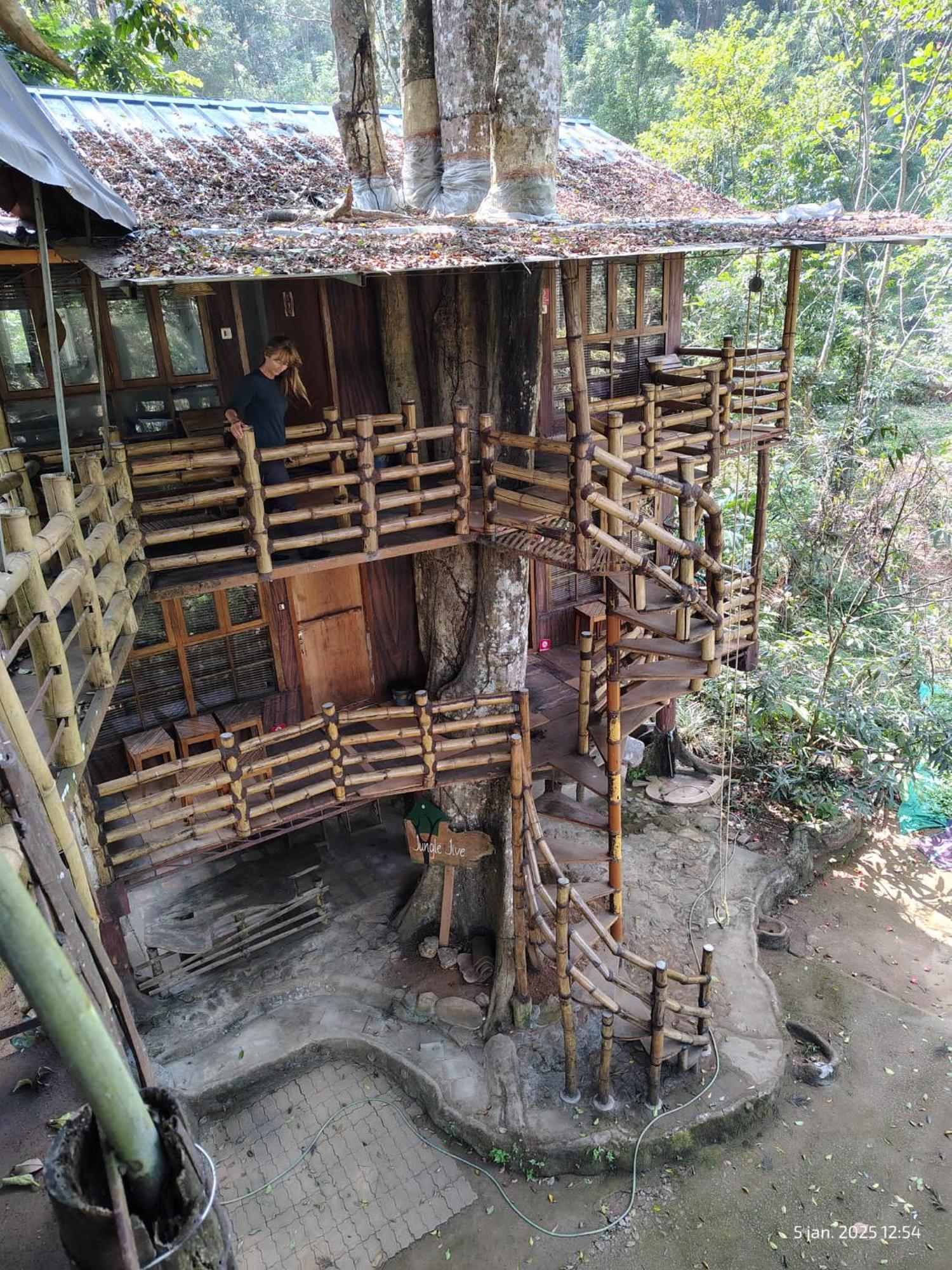 Jungle Jive Treehouse And Farm House มุนนาร์ ภายนอก รูปภาพ
