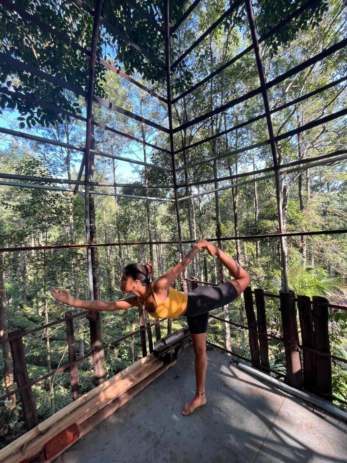Jungle Jive Treehouse And Farm House มุนนาร์ ภายนอก รูปภาพ